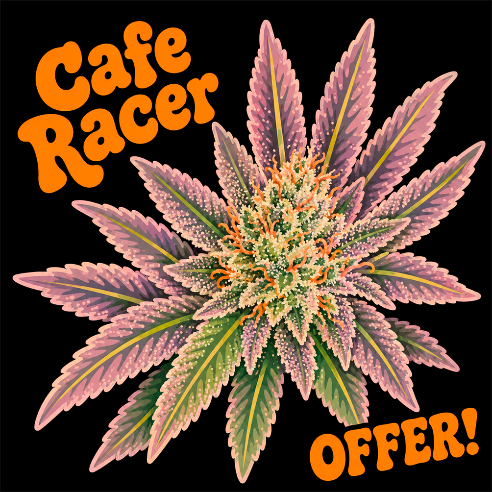 Cafe Racer